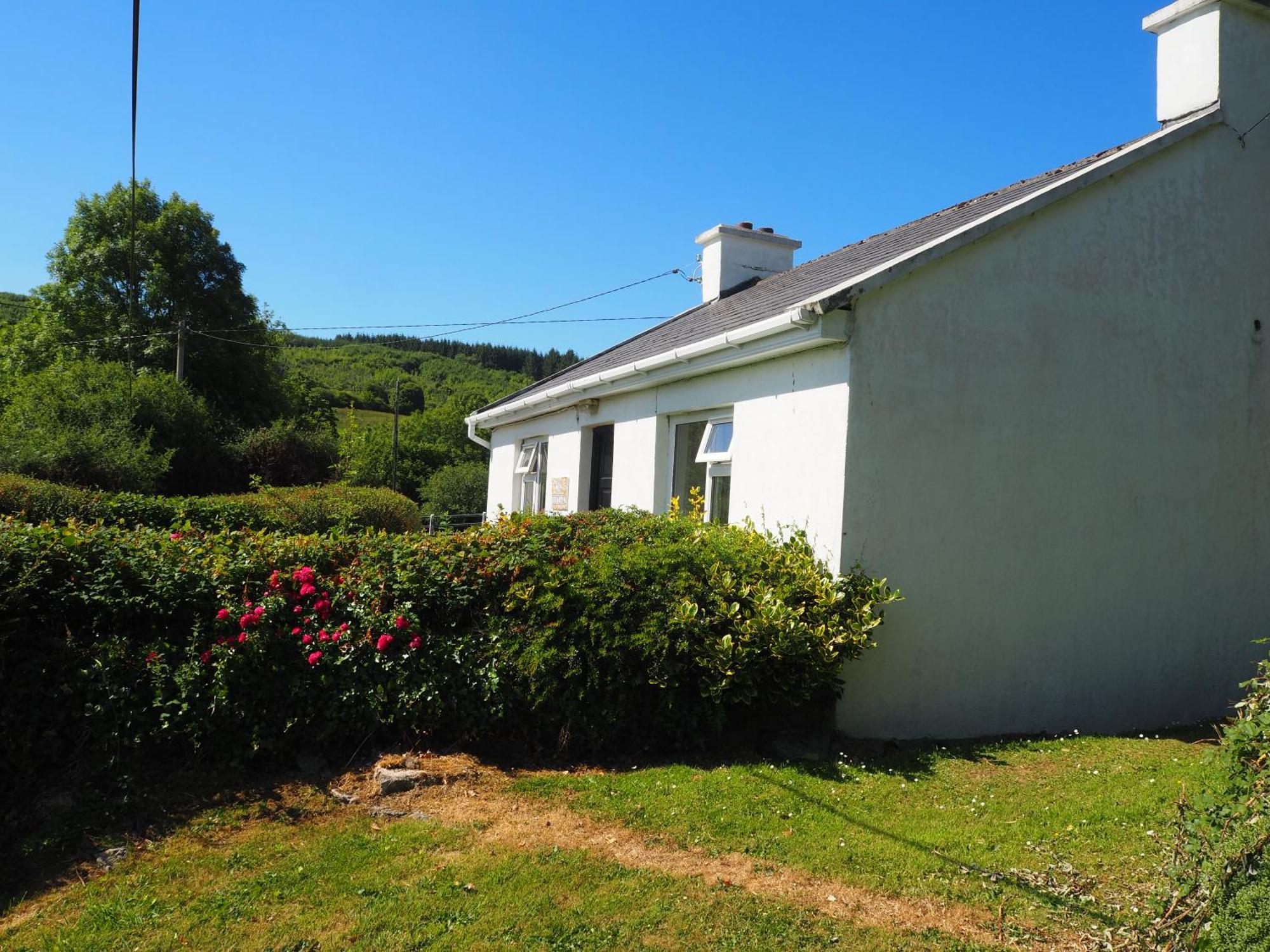 The Cottage @ Burkedale House Corofin  Kültér fotó