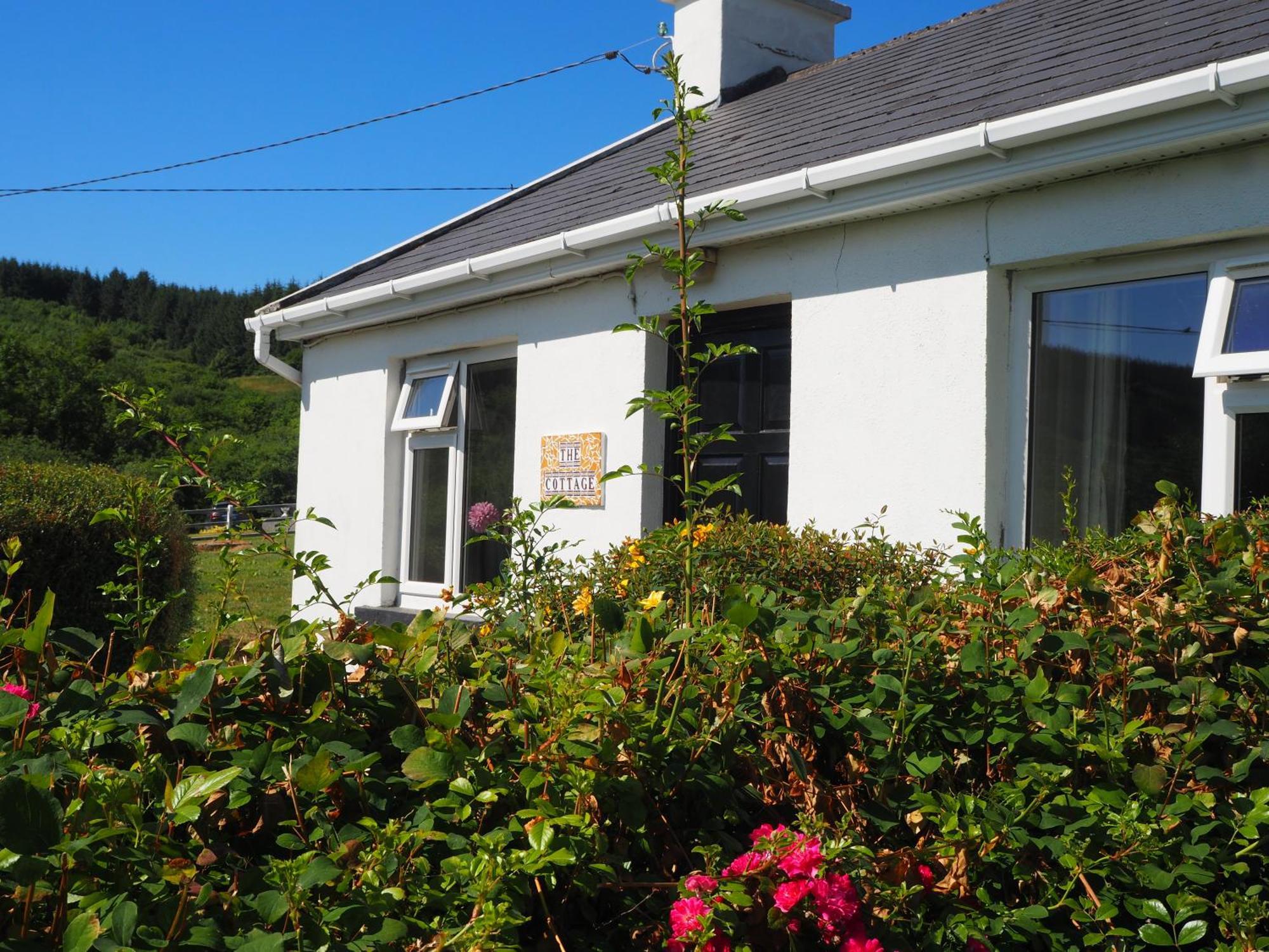 The Cottage @ Burkedale House Corofin  Kültér fotó