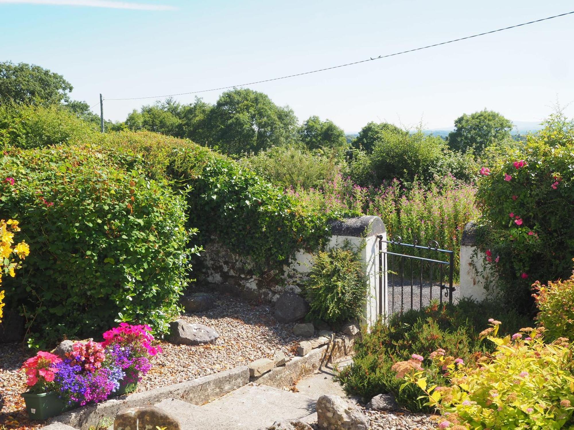 The Cottage @ Burkedale House Corofin  Kültér fotó