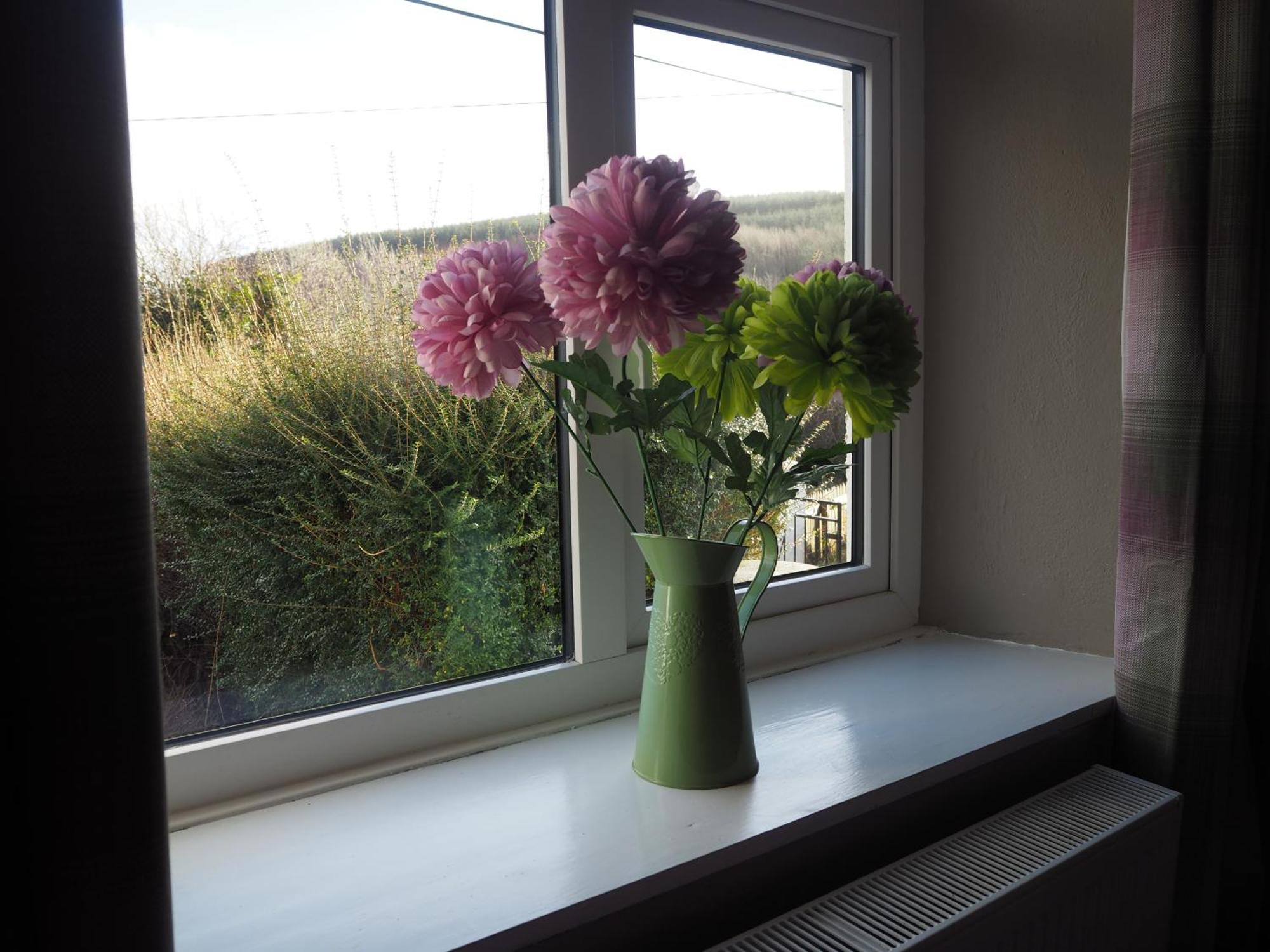 The Cottage @ Burkedale House Corofin  Kültér fotó